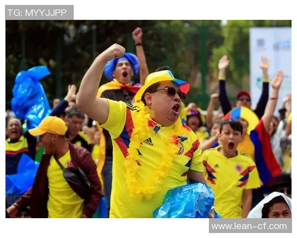 武汉羽毛球队的拼搏之路：一段不屈不挠的奋斗纪实