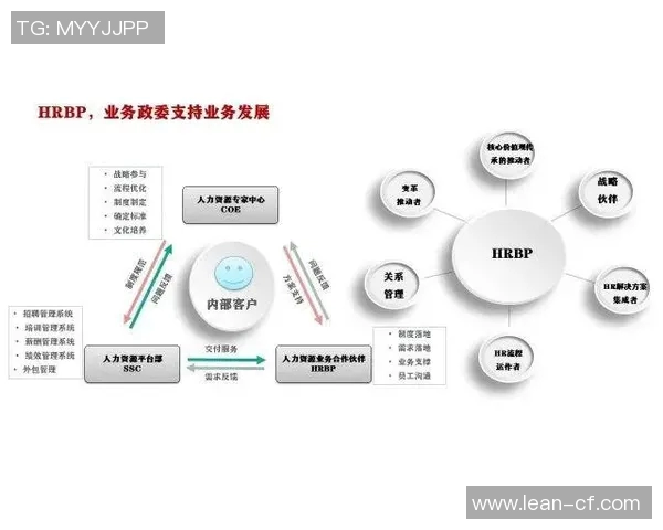 深圳羽毛球队的战术运营体系解析与实践经验分享
